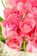 A close up of a bunch of pink roses in plastic foil