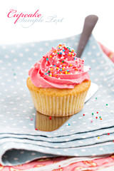 Cupcake with frosting and sprinkles