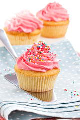 Cupcakes with frosting and sprinkles