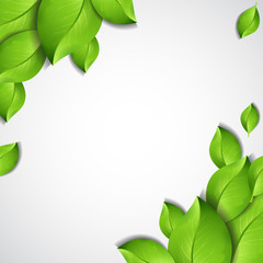 Green leaves - vector background