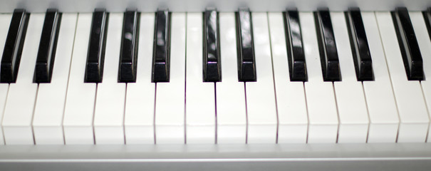 Клавиатура - белые и черные клавиши