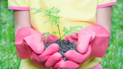 Girl in rubber gloves holding a green plant