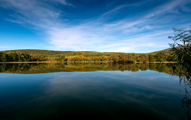 Fototapeta na wymiar Beautiful forest reflecting on calm lake shore