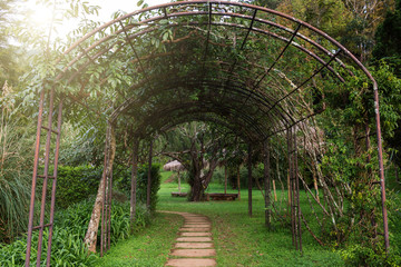 Fototapeta na wymiar walkway with tree arch