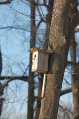 Wooden birdhouse on the tree