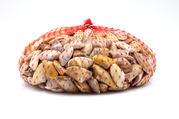 almejas frescas