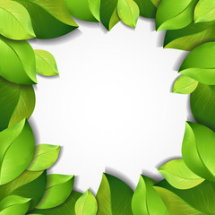 Fototapeta na wymiar Vector green leaves frame