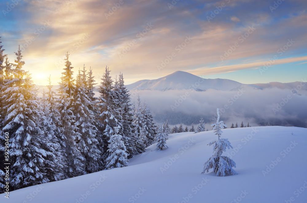 Wall mural winter morning in the mountains