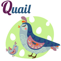 QuailLetter