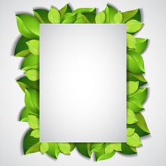Vector paper frame with green leaves