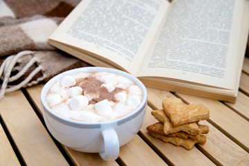 Chocolate drink with marshmallows, blanket and book