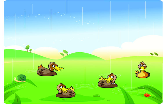 funny ducks cartoon playing in the rain