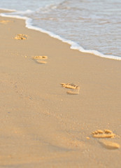 Traces on a sand near the sea