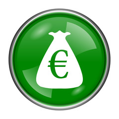 Euro sack icon