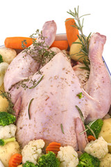 fresh domestic chicken with vegetables ready to roast