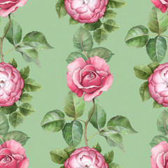 Watercolor pattern with rose illustration