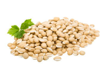 White beans