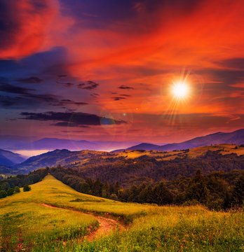 countryside meadow on a mountain slope at sunset