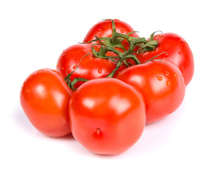 tomatoes