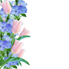 Flowers border on pink background