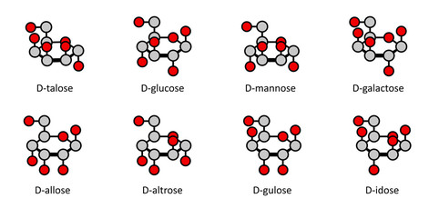 D-aldohexose sugars: allose, altrose, glucose, mannose, gulose
