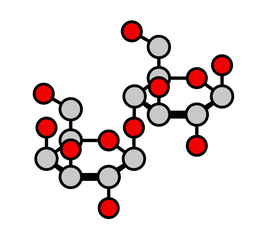 Lactose milk sugar molecule, Haworth-like projection.