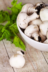 fresh champignons with parsley in a bowl