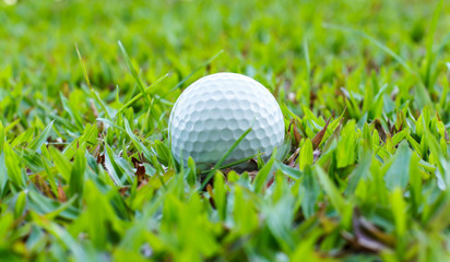 golf-ball on course