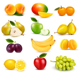 Big group of different fruit. Vector.