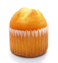 small cup cake on a white background