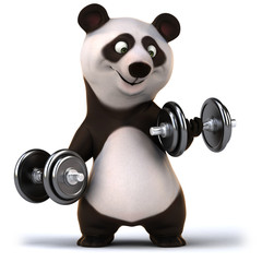 Panda © Julien Tromeur