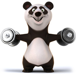 Panda © Julien Tromeur