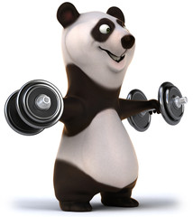 Panda © Julien Tromeur