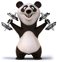 Panda © Julien Tromeur