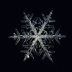 natural crystal snowflake macro