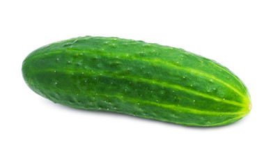 Fresh cucumber