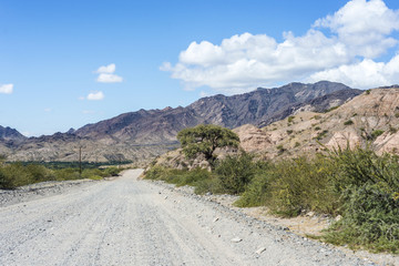 Famous Route 40 in Salta, Argentina.
