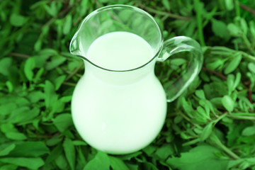Obraz na płótnie Canvas Pitcher of milk on grass