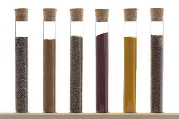 Assorted spices in test tubs