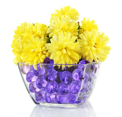 Beautiful flowers in vase with hydrogel isolated on white