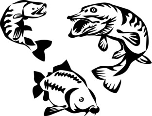 stylized trout pike and carp