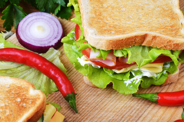 tasty sandwich