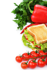 sandwich  with vegetable