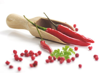 Capsicum annuum oder Capsicum frutescens