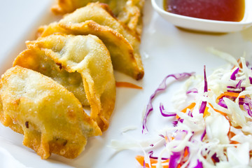Fried Dumpling, gyoza on white plate