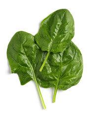 spinach leaves
