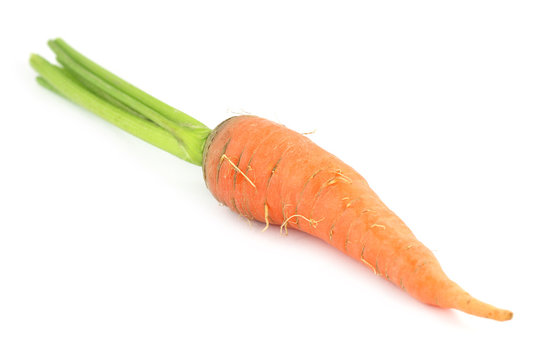 Carrot with leaf