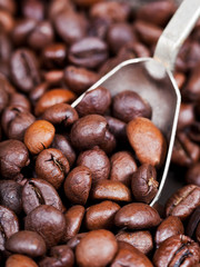 Naklejka premium silver spoon scoops roasted coffee beans