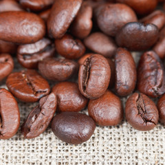 roasted coffee beans on textile