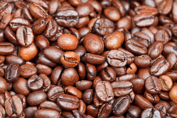 light roasted coffee beans close up